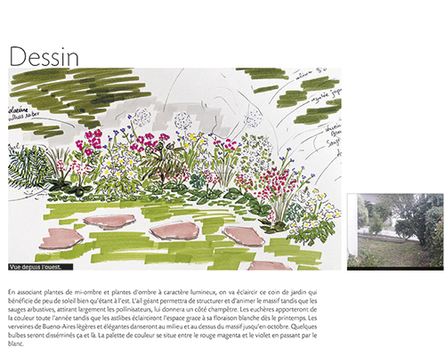 Massif jardin vivant
