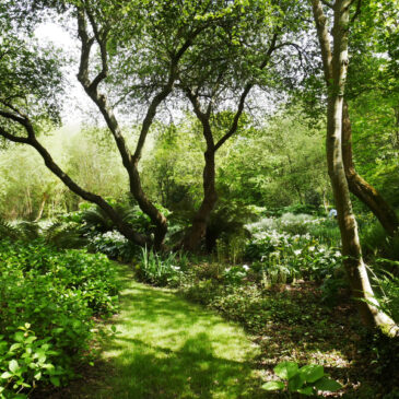 Jardin de Pellinec paysages et compagnie