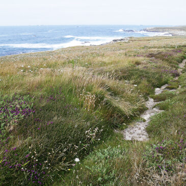 Landunvez - paysagesetcompagnie