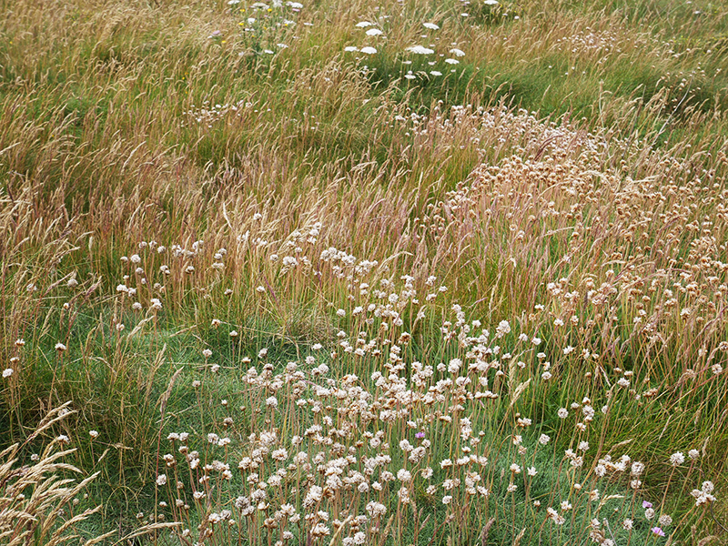 Landunvez - paysagesetcompagnie