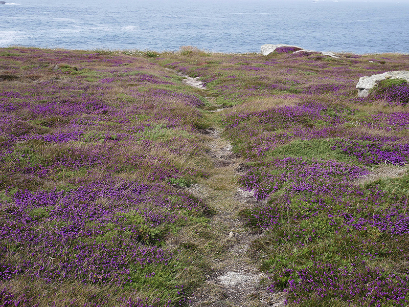 Landunvez - paysagesetcompagnie