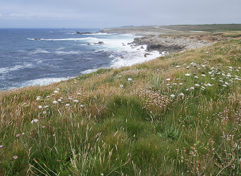 Landunvez - paysagesetcompagnie