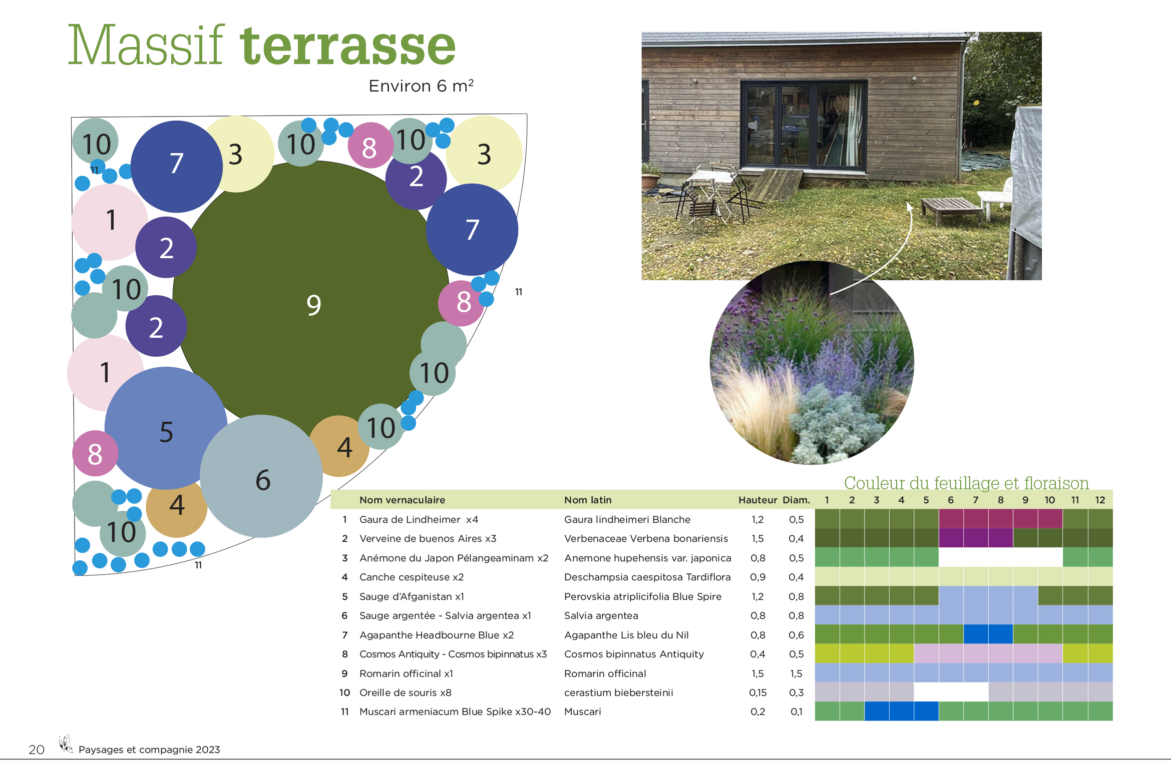 Massif terrasse Conception_Paysage_Anne-Antonia Caillet
