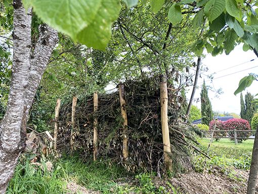 Une haie sèche dans votre jardin