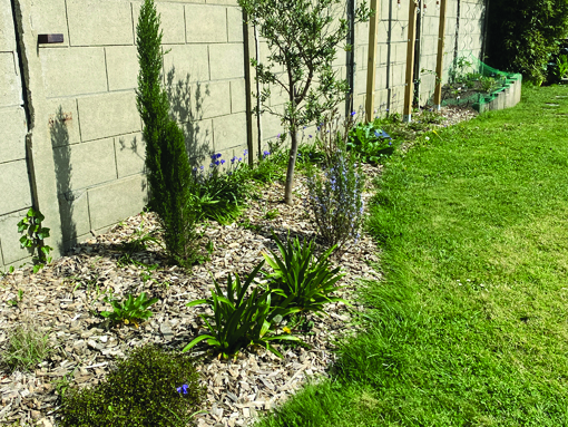 Utiliser votre broyat en paillis sur vos massifs