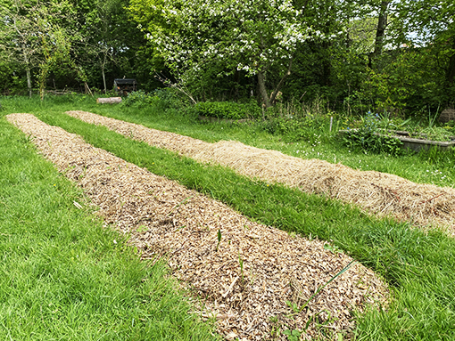 Utiliser le broyat pour faire des lasagnes @paysagesetcompagnie