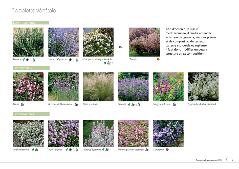 Projection_GEVEZE2_Anne-Antonia Extrait de la palette végétale