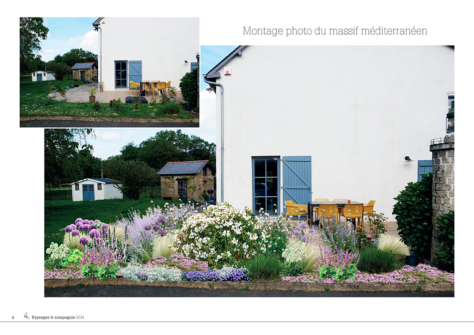 Projection_GEVEZE_Anne-Antonia Un massif fleuri pour un parterre méditerranéen