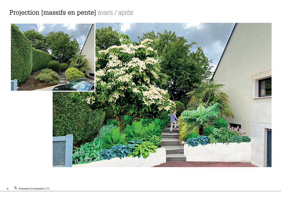 Projection_ORGE_Anne-Antonia A l'ombre, une ambiance de forêt