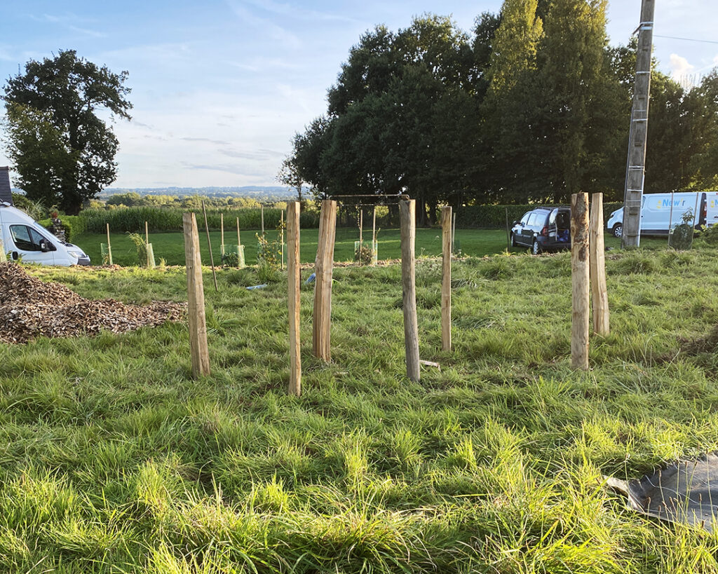 Haie sèche ou haie de Benjes