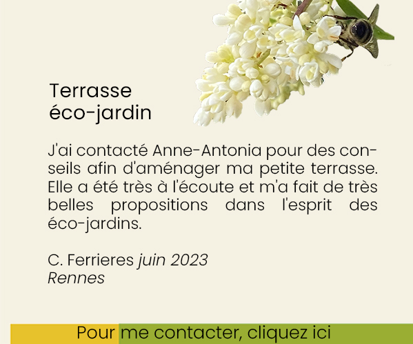 Terrasse éco-jardin paysages et compagnie