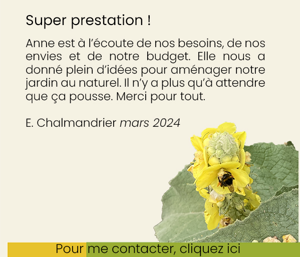 Jardin au naturel paysages et compagnie