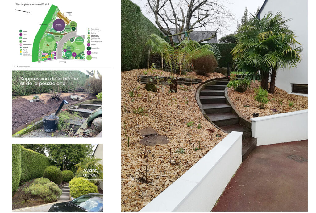 Jardin naturel à Orgères. Ambiance forestière