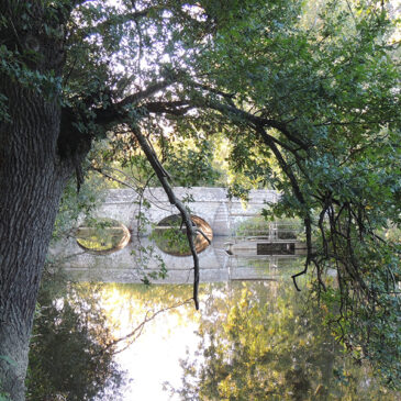 La vallée de la Seiche