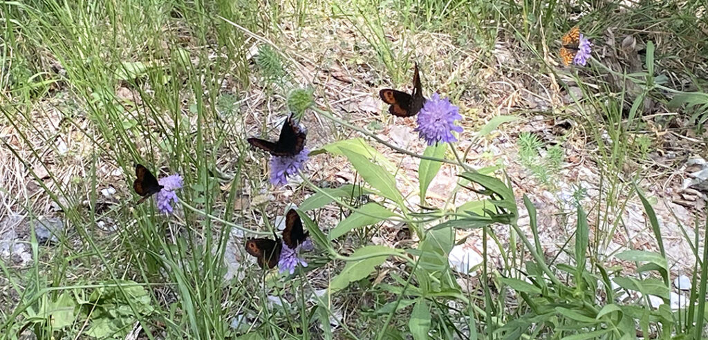 Tous les éléments sont liés les uns aux autres
