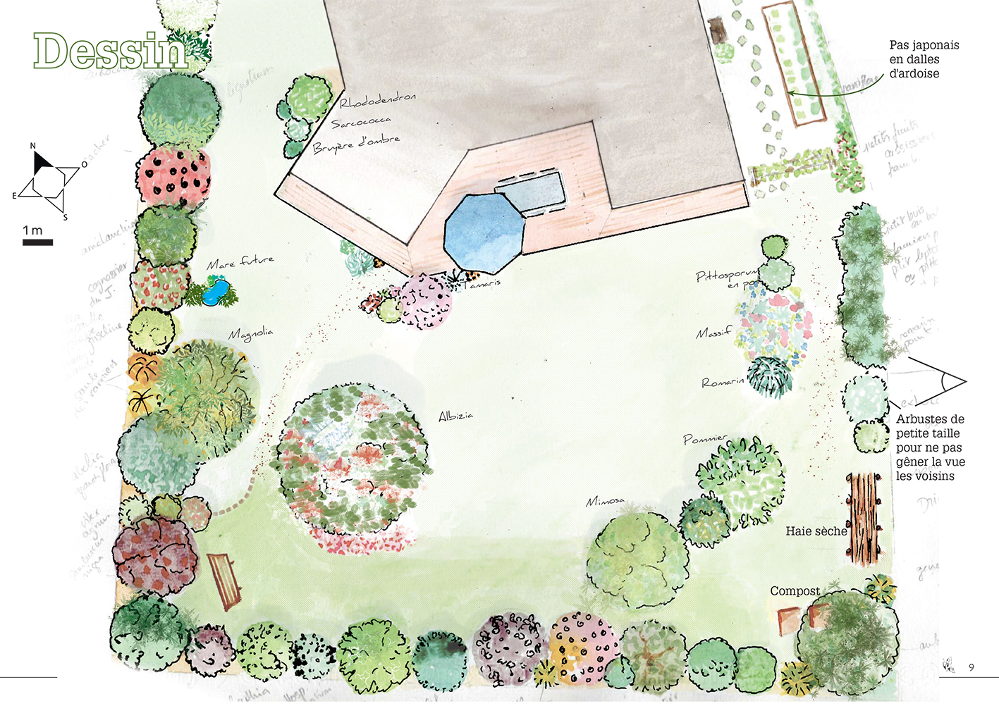 Conception jardin de bord de mer Plan d'un jardin de bord de mer