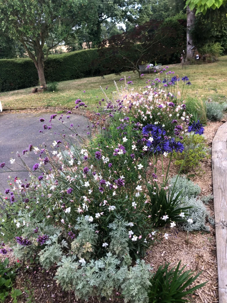 massif en camaïeu de mauve violet, avec des vivaces mellifères