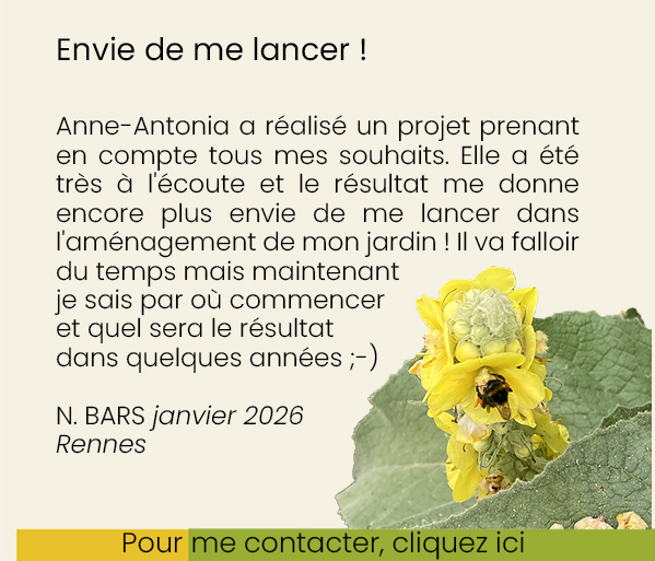 Petit jardin à Rennes